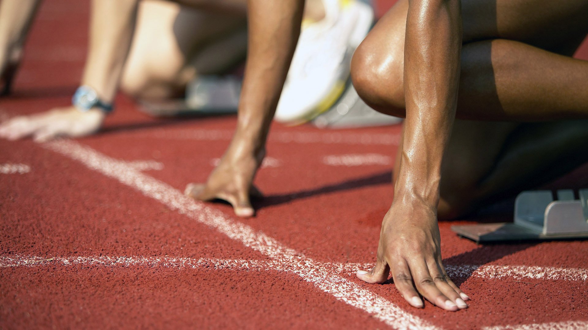 场馆翻新工程引入绿色建材标准，场地翻新