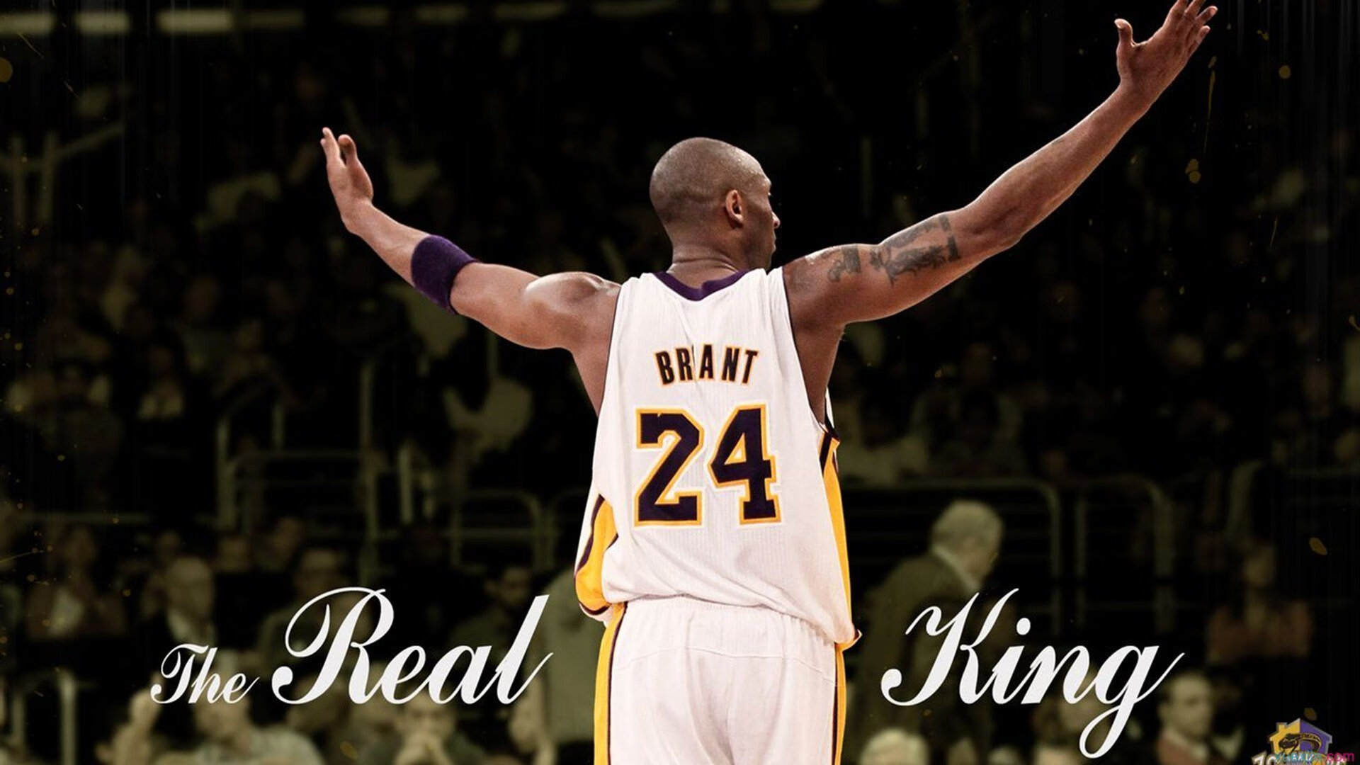 开云体育开云-“2025世界运动会：高新体育中心篮球赛成赛事热点”