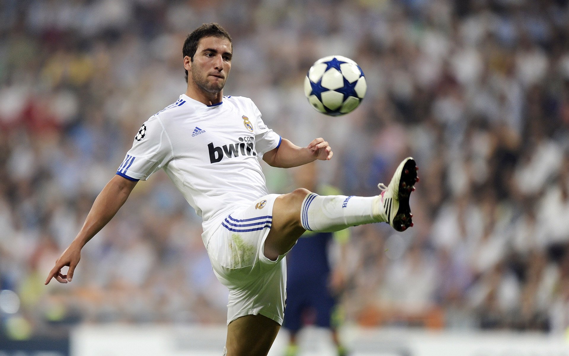 开云体育app网页版安全-东亚杯中国青年队战胜 球员心理素质提升，东亚杯参赛球队